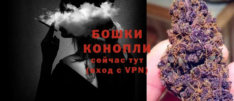 Бошки Шишки LSD WEED  Мураши 